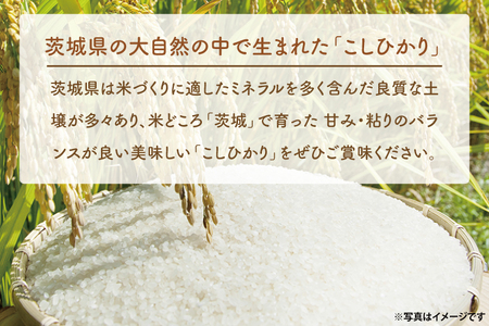 ＜令和7年産＞吟穂豊穣こしひかり 5kg 精米 米 茨城県産_EG007