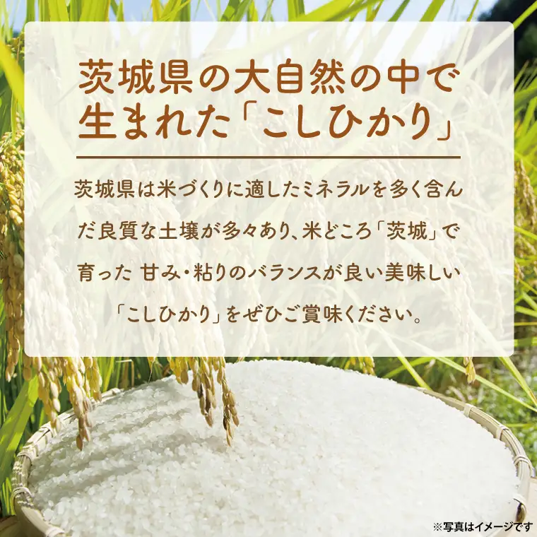 ＜令和7年産＞  吟穂豊穣こしひかり 4kg (2kg×2袋) 精米 米 茨城県産_EG008