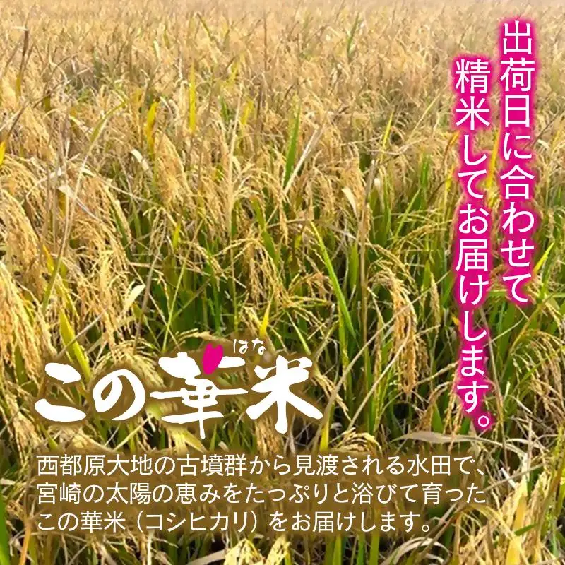【先行予約】令和8年産米こしひかり 『この華米』5kg＜14-18a＞