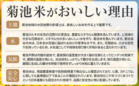【6ヶ月定期便】熊本県産 肥後米 無洗米 白米 5kg 1袋5kg 米 お米 令和7年産 九州産 熊本県産 ブレンド米 送料無料《お申込み翌月に出荷予定》 無洗米 白米 米