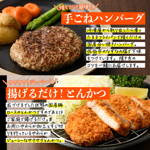 ＜定期便・全4回(3か月毎)＞下ごしらえ済み おかず5種セット (5種・合計2.3kg×4回) からあげ 唐揚げ とり天 チキンカツ とんかつ ハンバーグ 冷凍 惣菜 お弁当 簡単 時短 定期便【DH312】【ネクサ】