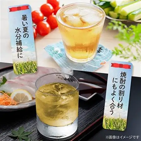 【毎月定期便】とうもろこしのおいしいひげ茶 500ml 24本 計12L サーフビバレッジ全12回【4068316】