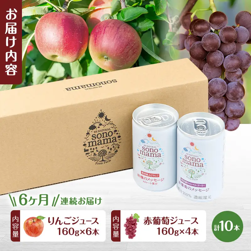《 定期便 6ヵ月 》ミックス「sonomama」(160g×10本）りんごジュース 赤ぶどうジュース ジュース 飲料
