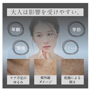 「Liposome Vitamin - 5C」高濃度リポソーム ビタミンC パウダー サプリメント（約30日分・個包装スティック）リポソームビタミンCを含む5種類の高濃度ビタミンC・合成保存料フリー・合成着色料フリー・人工甘味料不使用 リポC