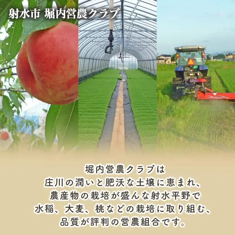 【射水市】【射水の美味しいお米】ほりうち米R8年度産ミルキークイーン10kg（5kg×2）【無洗米】※2026年9月下旬～10月中旬頃に順次発送予定 ※離島への配送不可