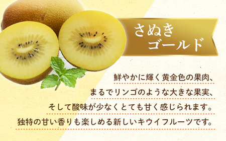 【先行予約】《2026年10月～2027年1月頃お届け》 さぬきゴールド 鮮やか黄金に輝く ゴールドキウイ 約900g 香川県産 大粒キウイ キウイフルーツ ゴールデンキウイ フルーツ 果物 くだもの 旬のフルーツ 旬の果物 香川 香川県共通返礼品 F5J-1022