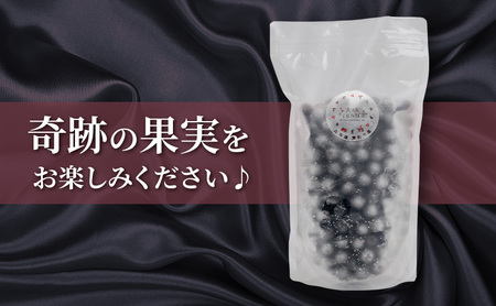 冷凍アロニア 500g 冷凍 アロニア 果物 くだもの フルーツ 旬の果物 旬のフルーツ 大橋さくらんぼ園 果物類 フルーツ デザート 完熟 急速冷凍 新鮮 美味しい 人気 冷凍配送 北海道 芦別市