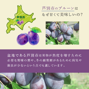 【訳アリ】  冷凍 プルーン 500g 大橋さくらんぼ園 果物 果物類 フルーツ デザート 完熟 急速冷凍 新鮮 美味しい 人気 冷凍配送 北海道 芦別市