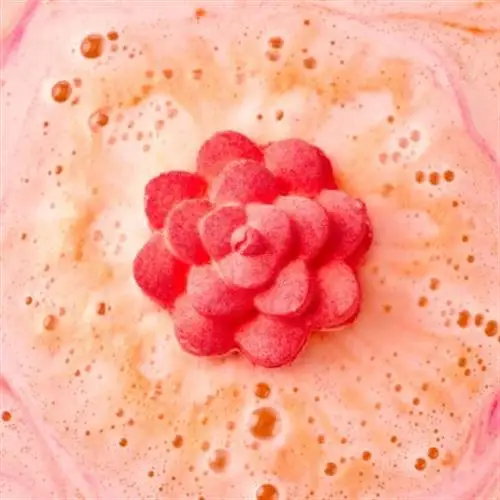 LUSH ラッシュ ブルーミング ビューティフル 3種のバスギフト【配送不可地域：離島】【1448555】