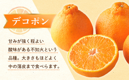 【先行予約】《2027年3月頃お届け》 デコポン 瀬戸内の果汁溢れるみかん 不知火 約1.5kg しらぬい みかん 柑橘 フルーツ 旬 でこぽん デコポン 厳選 F5J-1024