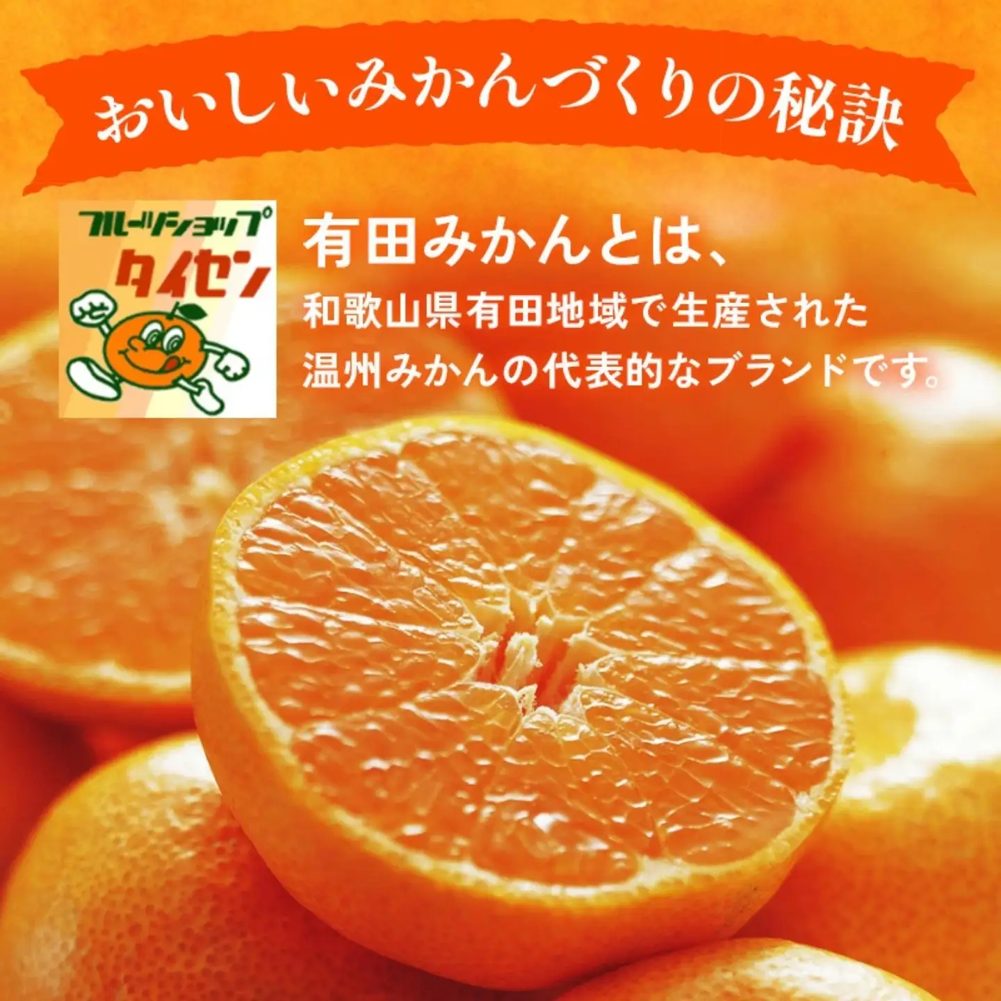 【先行予約】【ご家庭用】和歌山有田みかん 約5kg(SS・Sサイズ) ｜ みかん