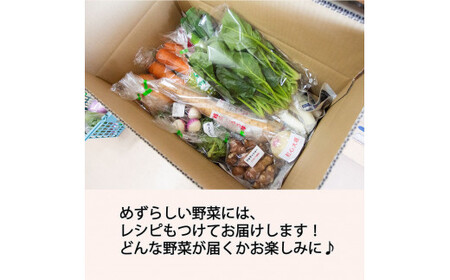 季節のおすすめ野菜おまかせ詰め合わせ12ヵ月定期便 8種～12種類【16105】