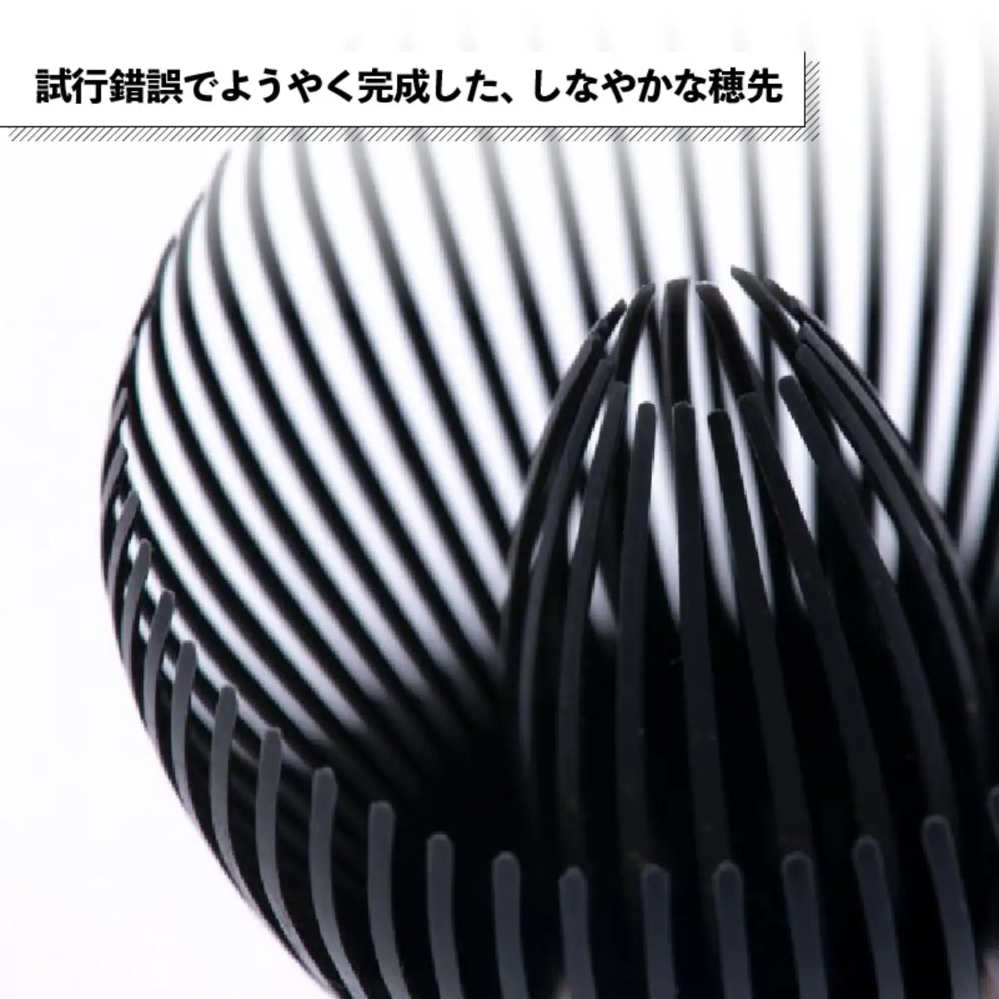 茶せん 日本製 くせ直し 茶せんセット