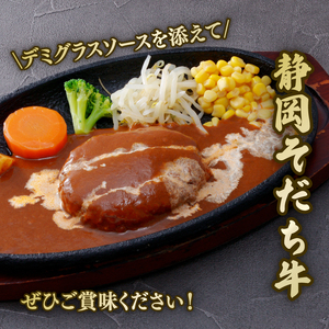国産 和牛 ハンバーグ  200g2.4kg / ハンバーグ 