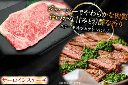 牛肉 宮崎牛 サーロイン ステーキ 200g 1枚 [ローカルブランディング 宮崎県 日向市 452061526]