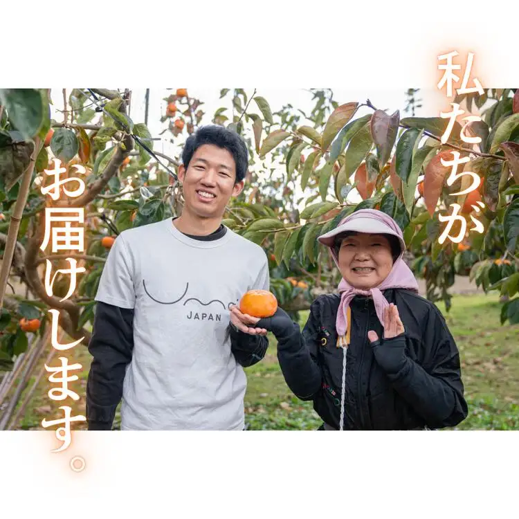 【先行予約】Umai 柿 富有 プレミアム 6玉 2.0kg ※2026年11月中旬～12月中旬頃に順次発送予定