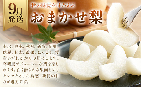 旬の フルーツ 定期便 2ヶ月連続 秀品 計5kg 日本フルーツ株式会社《2026年9月上旬-10月末頃出荷》熊本県 長洲町 おまかせ 梨 極早生みかん 果物 フルーツ スイーツ デザート ギフト ご贈答