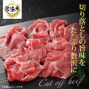 【茨城県共通返礼品】常陸牛切り落とし 500g【使いやすい 小分け 250g×2 銘柄牛 牛肉 冷凍 たんぱく質 ビタミン 茨城県産】(81-15)