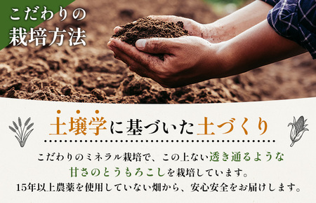【2026年度発送分】上原農場直送 有機栽培とうもろこし (サニーショコラ) 約5kg 約10本前後【6601901】