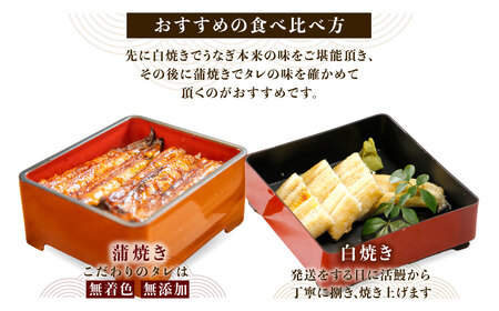 【紅白味わいセット】国産うなぎの白焼き大1匹・蒲焼き中2串《戸村川魚店》 /  うなぎ 国産うなぎ 鰻 国産鰻 ウナギ 国産ウナギ 白焼 白焼き 蒲焼き 蒲焼 食べ比べ セ TMR002