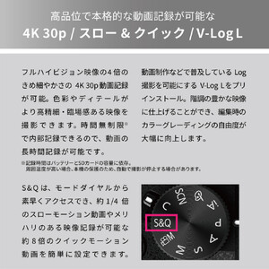 パナソニック デジタルカメラ ルミックス DC-G99M2H カメラ