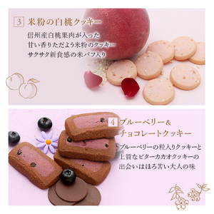 渋谷西村 プレミアムフルーツクッキー [渋谷西村フルーツパーラー道玄坂店] 【036014】お菓子 ｸｯｷｰ ﾌﾙｰﾂ 果物 ﾄﾞﾗｲﾌﾙｰﾂ ｵﾘｼﾞﾅﾙｸｯｷｰ 化粧箱 ｽﾄﾛﾍﾞﾘｰ ﾏﾝｺﾞｰ 瀬戸内ﾚﾓﾝ ﾁｰｽﾞ 米粉 白桃 ﾌﾞﾙｰﾍﾞﾘｰ ﾁｮｺﾚｰﾄ 清見ｵﾚﾝｼﾞ ｱｰﾙｸﾞﾚｲ ｺｺﾅｯﾂ