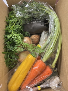 【有機野菜 お米 定期便】2025年10月以降発送 (有機野菜 玄米2kg)  有機野菜 米 定期便 SUBSC-CW100