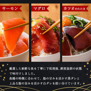 海鮮 お魚漬け丼 食べ比べセット(6種)小分け 海鮮丼 【UZ-12】【請関水産】