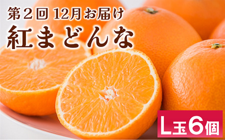 【2026年先行予約】伊予市旬彩定期便 全3回 中山栗 紅まどんな 伊予柑 愛媛県 伊予市｜D48
