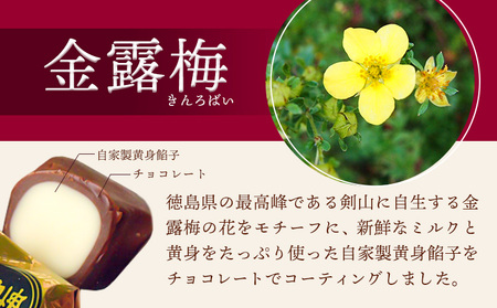 和菓子 黄身餡子 チョコレート 金露梅 45個 