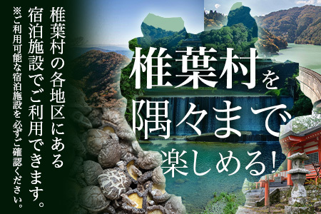 椎葉村共通宿泊割引券　3,000円分