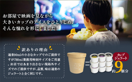 COZAB GELATO 訳あり 大容量 ひとりじめサイズ 2個セット アイスクリーム アイス ジェラート 山形県 山形市 FY25-276