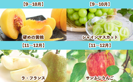 【定期便7回】旬です！YAMAGATA＊FRUIT FZ25-285