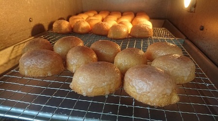 ケーキ工房菜の花 無添加レモンケーキ　大　(20個入り)