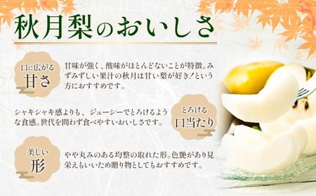 先行予約 梨 秀品 秋月梨 約1.8kg（4～7玉） 日本フルーツ《9月上旬-9月末頃出荷》熊本県 荒尾市 なし 梨 果物 フルーツ デザート ギフト ご贈答