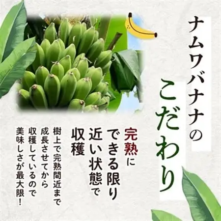 【毎月定期便】西原町の栽培期間中農薬不使用のナムワバナナ3kg全3回【4069633】