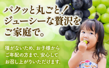 先行予約 訳あり種なしぶどう2種食べ比べ計約600g(シャインマスカット&巨峰orブラックビート)ぶどうシャインマスカットZFO004