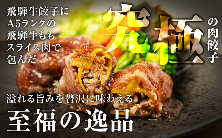 贅沢！飛騨牛 肉巻 餃子 5個 餃子 [mt1826]