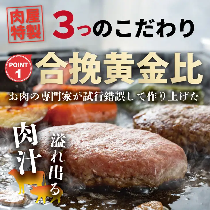 肉屋特製 佐賀牛入ハンバーグ 20個 ハンバーグ  B150-028