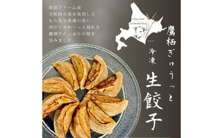 鷹栖牛 生餃子セット たかすぎゅうっと生餃子 10個入り×2パック 合計20個 北海道 鷹栖町 新田ファーム 牛肉 冷凍餃子 生餃子 牛肉 冷凍