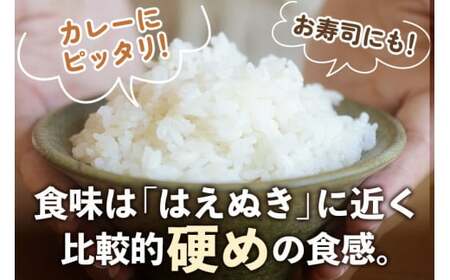 【白米】山形県産 棚田米 白鷹ほまれ 5kg 山形95号 令和7年産 米 お米 精米 コメ おこめ ごはん ご飯 白米 5キロ 【2025年10月下旬順次出荷予定】
