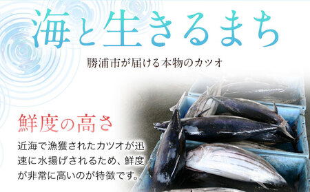 勝浦市産 カツオの握り寿司 12貫（4貫×3パック）《30日以内に出荷予定(土日祝除く)》千葉県 勝浦市 海産物 カツオ 鰹 寿司 すし 魚 海鮮