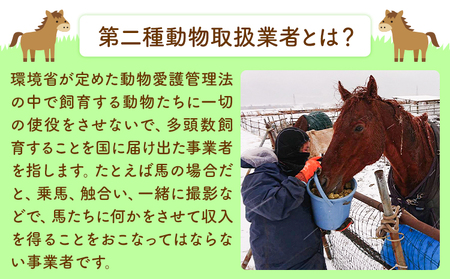 【返礼品なし】引退馬余生支援寄附 500,000円 一般社団法人オープンセサミアライブ 熊本県 南阿蘇村 馬 ウマ 支援 競走馬 引退馬 生活支援 動物愛護 保護 返礼品なし 寄附 牧場 オープンセサミ アニマルサンクチュアリ