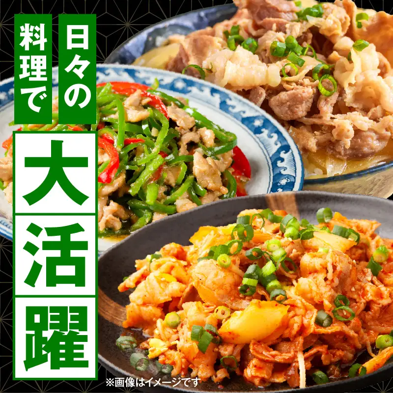 豚肉 こま切れ 豚肉[宮崎県産 2kg 200g×10P]