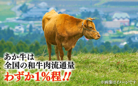 全3回定期便 熊本和牛 あか牛 ハンバーグ セット 約120g×6個 あか牛 ハンバーグ BHAS033