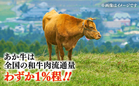全12回定期便 くまモン ハンバーグ セット（あか牛100％使用） ハンバーグ BHAS059