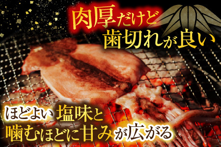 いか一夜干し2枚 G-11079