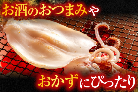 いか一夜干し2枚 G-14079