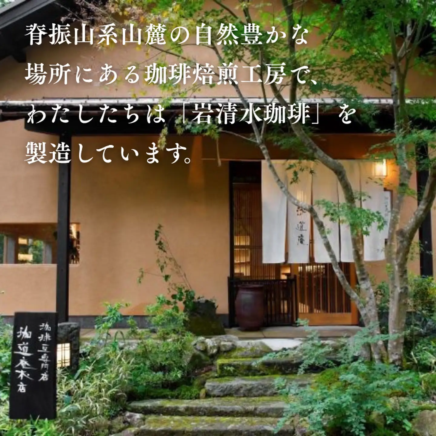 パナマ・エスメラルダ農園産ゲイシャドリップ「日本一」 コーヒー ドリップバッグ 50杯分 最高級 飲料 珈道庵 佐賀県 佐賀市 三瀬村 ：C337-003
