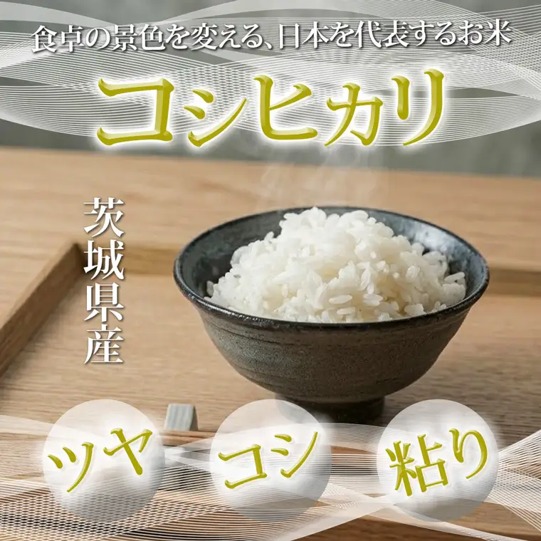 米 コシヒカリ 精米 5kg 令和7年産 茨城県産 お米 こめ コメ ごはん 白米 こしひかり 茨城県産米 単一米 単一原料米 安心 安全 送料無料 国産 人気 数量限定 高評価（85-11）